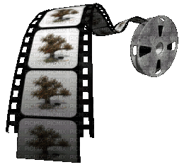 Film reel